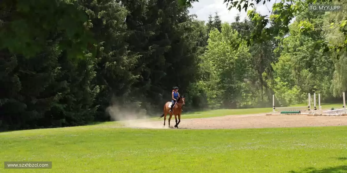 热血赛事,一触即发!🔥