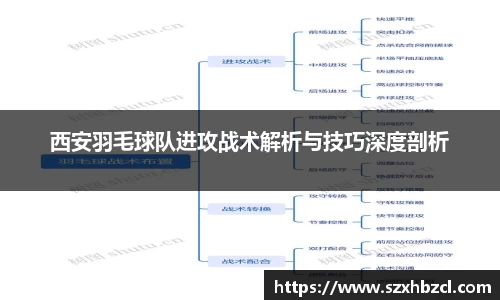 西安羽毛球队进攻战术解析与技巧深度剖析