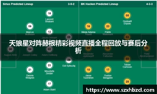 天狼星对阵赫根精彩视频直播全程回放与赛后分析