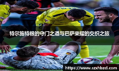 球速体育平台入口